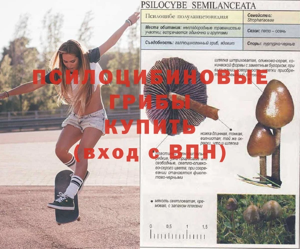 МДМА Заволжск
