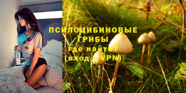 амфетамин Заводоуковск
