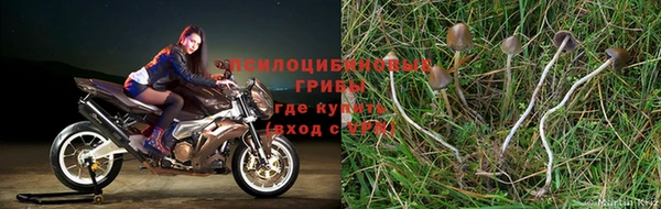 МДМА Заволжск