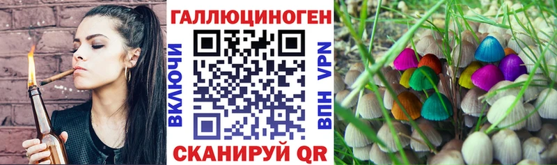 Купить  Дагестанские Огни  Галлюциногенные грибы Psilocybine cubensis 